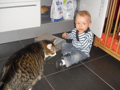 Da hatte Tom gerade gelernt, wie man Türen aufmacht und Katzenfutterbehältnisse. Paul fand es super und als der erst mit dem Fressen anfing, hat Tom gleich mitgemacht